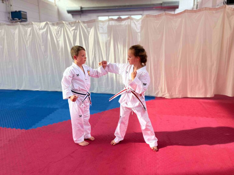 Holbæk Taekwondo Klub solgte lodder for Det Gode Lotteri og tjente 20.000 kr.